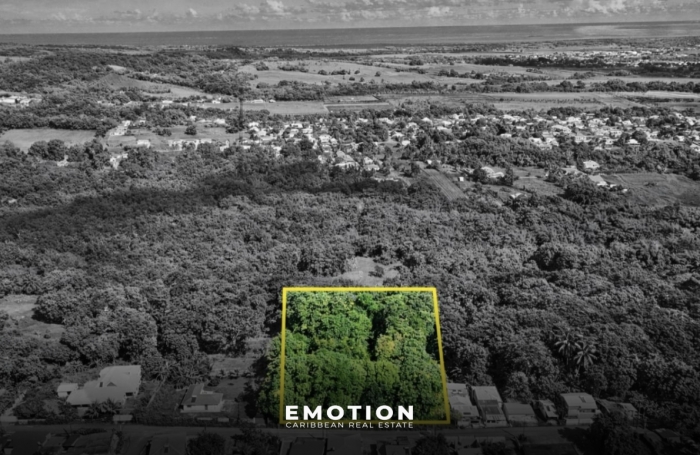 TERRAIN PLAT   Route Sainte-Rose   5 753 m2 Exclusivit&eacute;