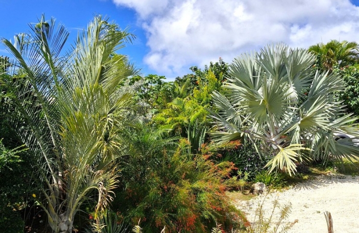 Vente Maison 160m&sup2; 6 pièces Grand Bourg