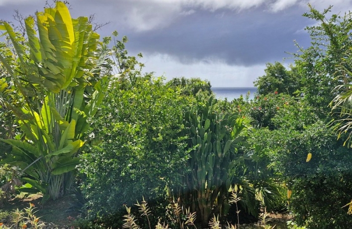 Vente Maison 160m&sup2; 6 pièces Grand Bourg