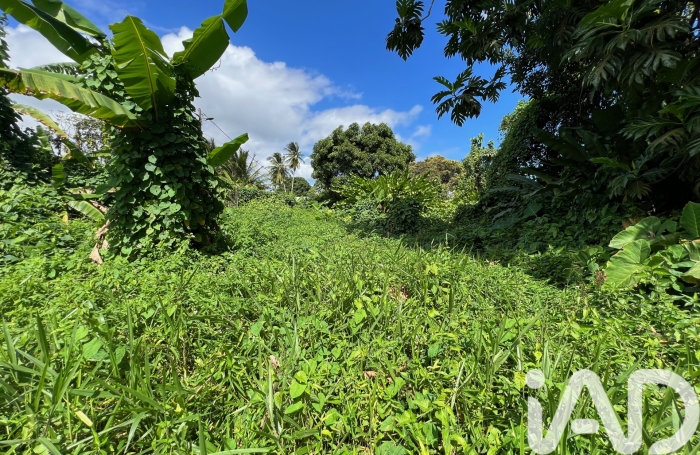 Vente Terrain 1015m&sup2; Capesterre Belle Eau