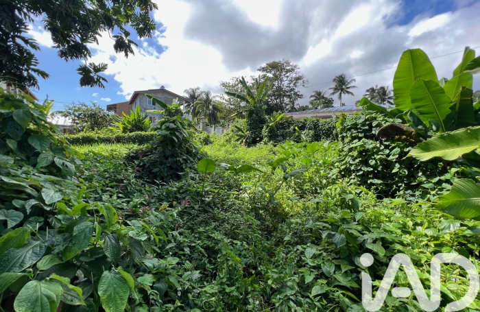 Vente Terrain 1015m&sup2; Capesterre Belle Eau