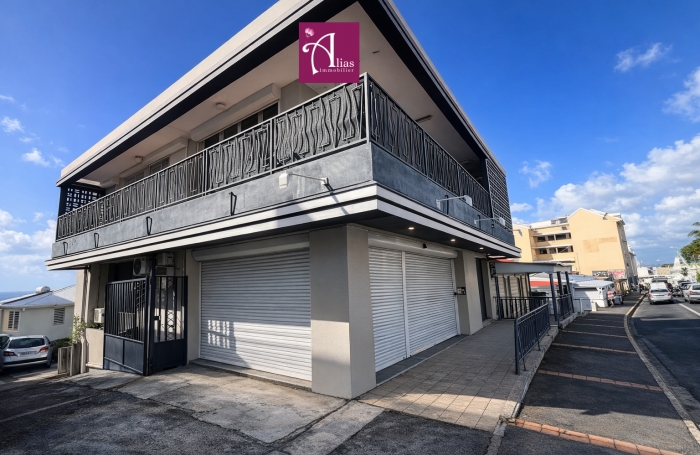 Vente Local commercial 97190