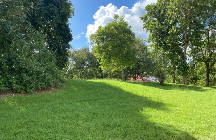 Vente Appartement 22m&sup2; 1 pièce Sainte Anne