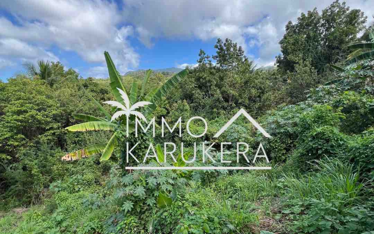 VENTE - Terrain non b&acirc;ti &agrave; Baillif (secteur Cadet)