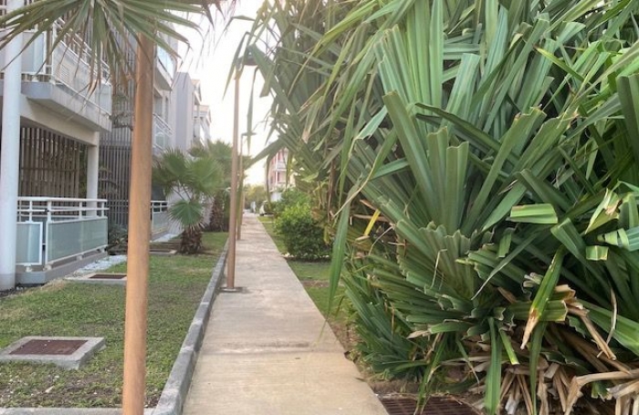 Location Appartement 36.7m&sup2; 2 pièces Le Moule