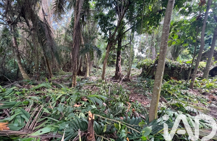 Vente Terrain 2007m&sup2; Baie Mahault