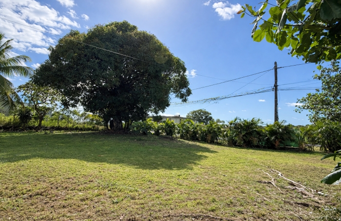 MAISON MEUBL&Eacute;E GRAND JARDIN CLOTUR&Eacute; ST ANNE/MOULE