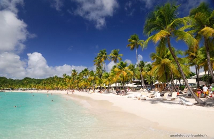 Vente Appartement 97180