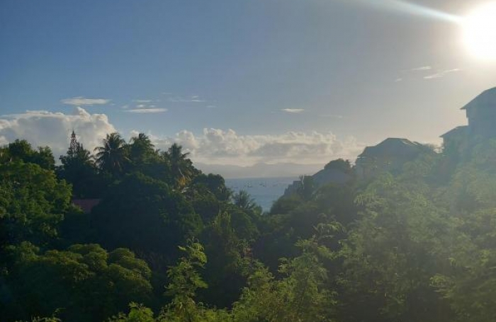 Location Appartement 97190