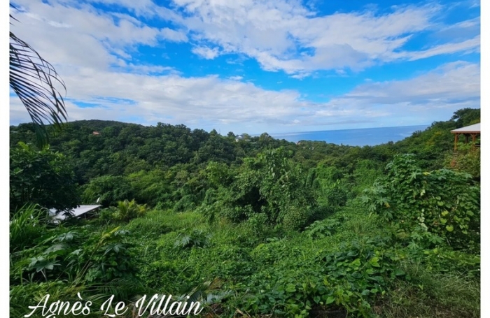 Vente Terrain 7664m&sup2; Bouillante