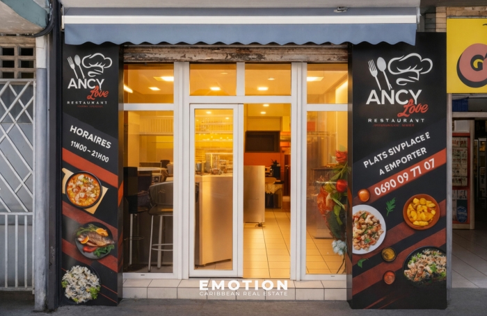 IMMEUBLE DE RAPPORT - POINTE-&Agrave;-PITRE