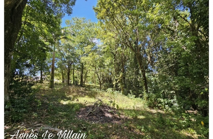Vente Terrain 3502m&sup2; Bouillante