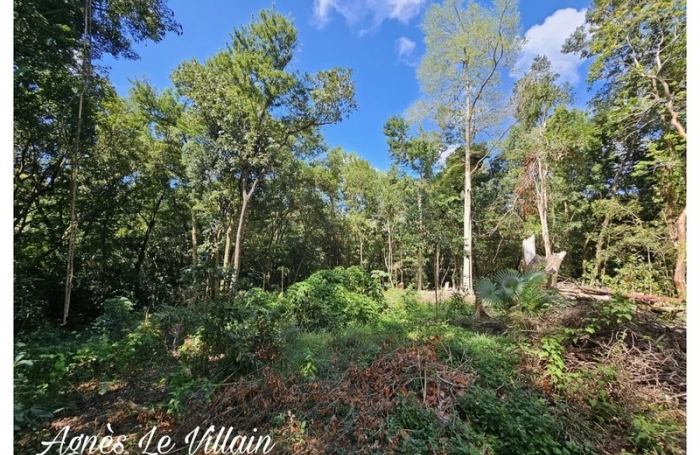 Vente Terrain 3502m&sup2; Bouillante