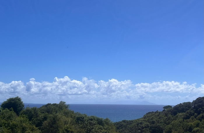 Location Appartement 97190