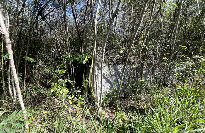 Vente Terrain 1797m&sup2; Anse-Bertrand