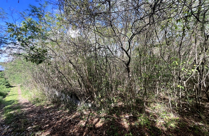 Vente Terrain 1797m&sup2; Anse-Bertrand