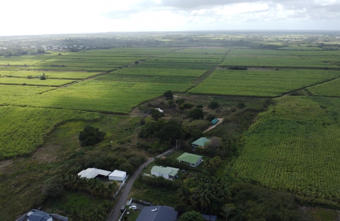 Vente Terrain 1797m&sup2; Anse-Bertrand