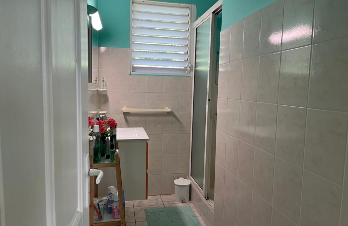 SAINT-CLAUDE, Belle villa T4 avec mezzanine, piscine et garage sur un jardin cl&ocirc;tur&eacute;