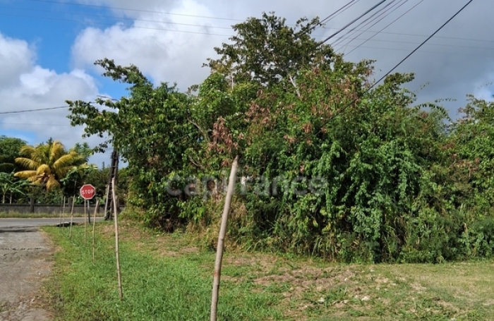 Vente Terrain 800m&sup2; Saint Fran&ccedil;ois