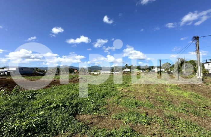 Opportunit&eacute; Commerciale Rare &ndash; 4500 m&sup2; en Fa&ccedil;ade de Route &ndash; Sainte-Rose