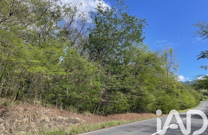 Vente Terrain 97126