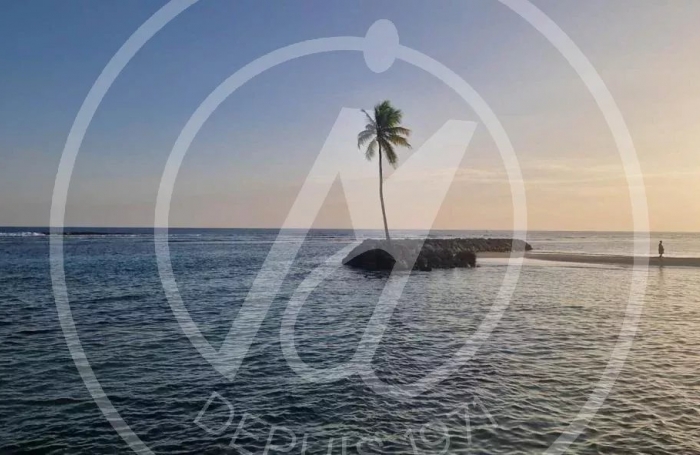 Vente Appartement 40m&sup2; 2 pièces Sainte Anne