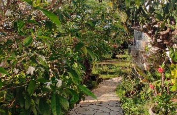 Vente Maison 118m&sup2; 4 pièces Sainte Rose