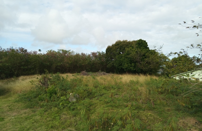 TERRAIN &Agrave; BATIR (903 m2) - LACROIX BEAUFOND - 97121 ANSE-BERTRAND