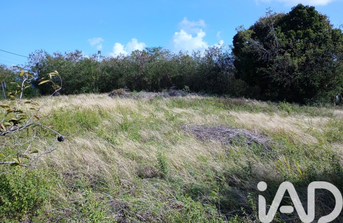 Vente Terrain 903m&sup2; Anse-Bertrand
