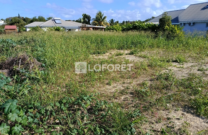 Vente Terrain 447m&sup2; Saint Fran&ccedil;ois