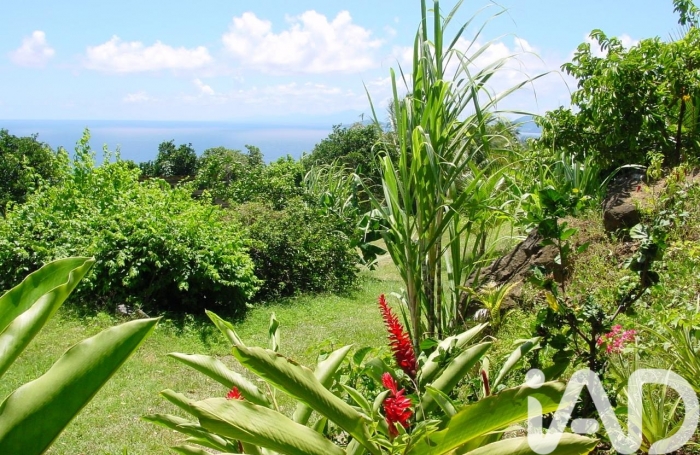 Vente Immeuble 1148m&sup2; 5 pièces Trois Rivi&egrave;res