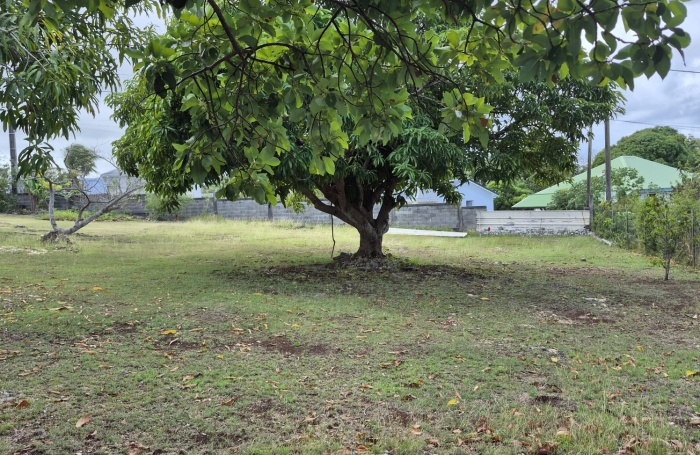 TERRAIN A BATIR SUR GUERY, COIN PAISIBLE ET RESIDENTIEL