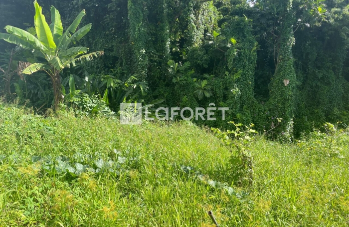 Vente Terrain 562m&sup2; Trois Rivi&egrave;res