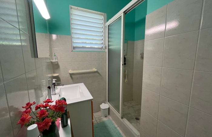 SAINT-CLAUDE, Belle villa T4 avec mezzanine, piscine et garage sur un jardin cl&ocirc;tur&eacute;