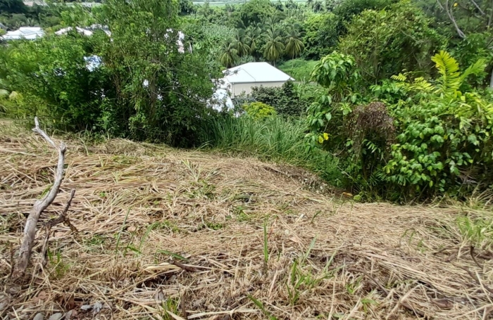 Vente Terrain 507m&sup2; Capesterre Belle Eau