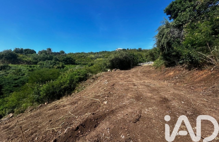 Vente Terrain 629m&sup2; Vieux Habitants