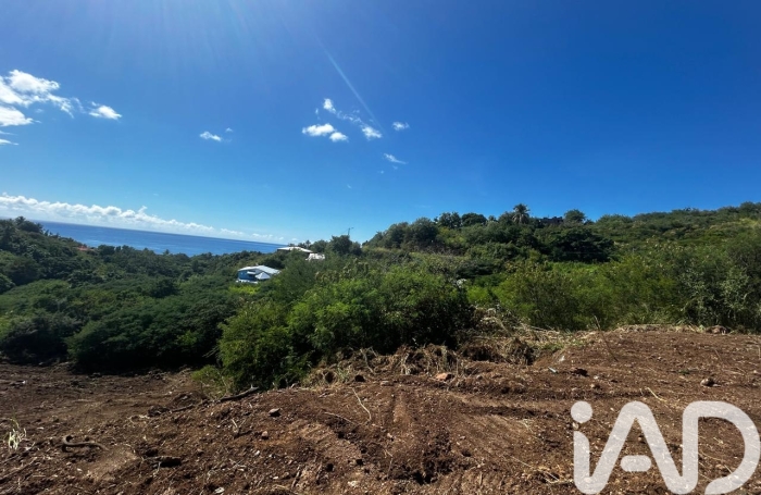 Vente Terrain 629m&sup2; Vieux Habitants