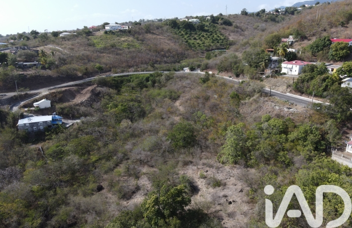 Vente Terrain 629m&sup2; Vieux Habitants