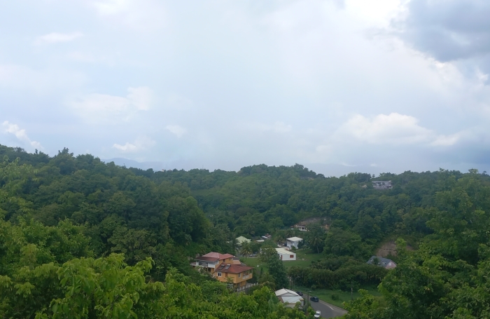 LES ABYMES - BESSON : PROPRIETE DE 7962 m2