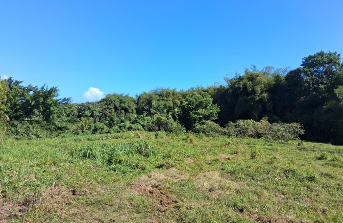 - BAIE-MAHAULT   lotissement r&eacute;sidentiel de 12 parcelles, &laquo; Les Jardins de Tivoli &raquo;,