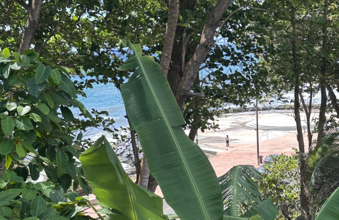 Vente Immeuble 400m&sup2; Capesterre Belle Eau