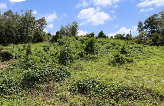 Vente Terrain 865m&sup2; Les Abymes