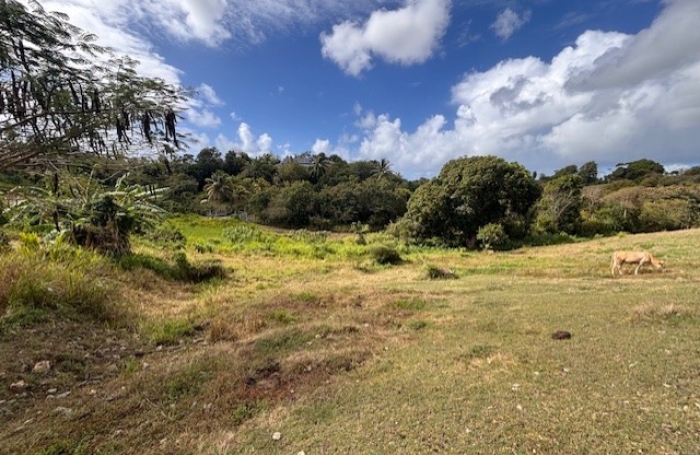 Terrain &agrave; vendre sur Sainte-Anne - Longfort Immobilier