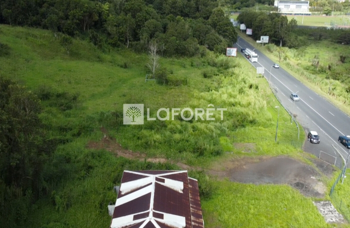 Vente Terrain 8000m&sup2; Gourbeyre