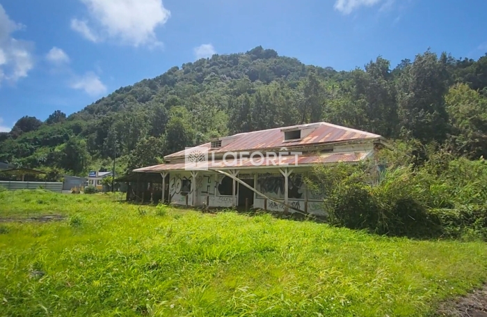 Vente Terrain 8000m&sup2; Gourbeyre