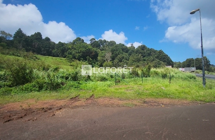 Vente Terrain 8000m&sup2; Gourbeyre