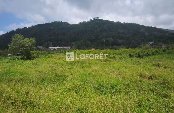 Vente Terrain 8000m&sup2; Gourbeyre