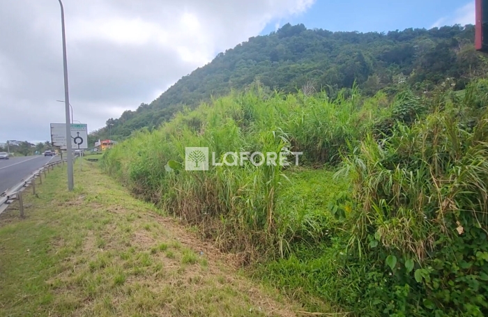 Vente Terrain 8000m&sup2; Gourbeyre