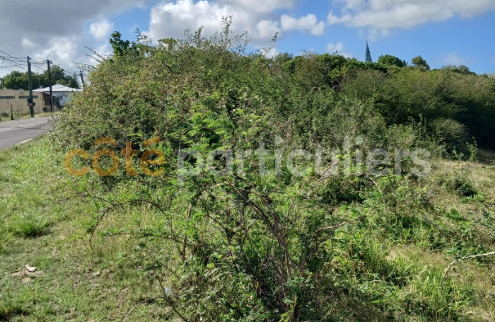 Vente Terrain 1966m&sup2; Sainte Anne