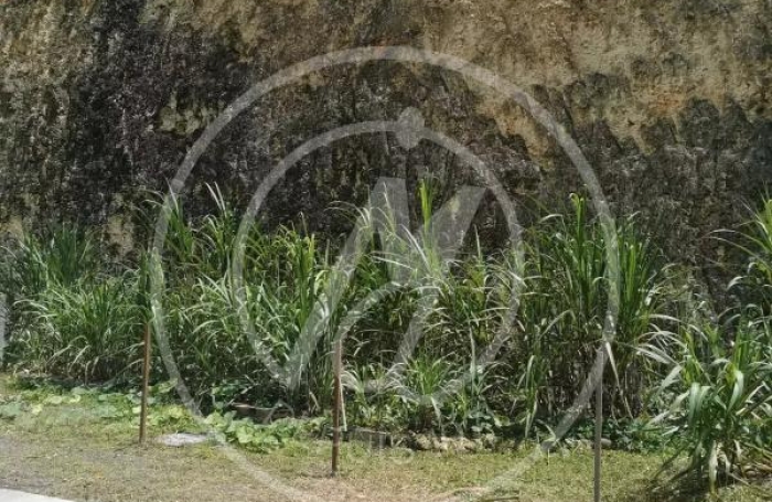 Location Maison 117m&sup2; 4 pièces Les Abymes